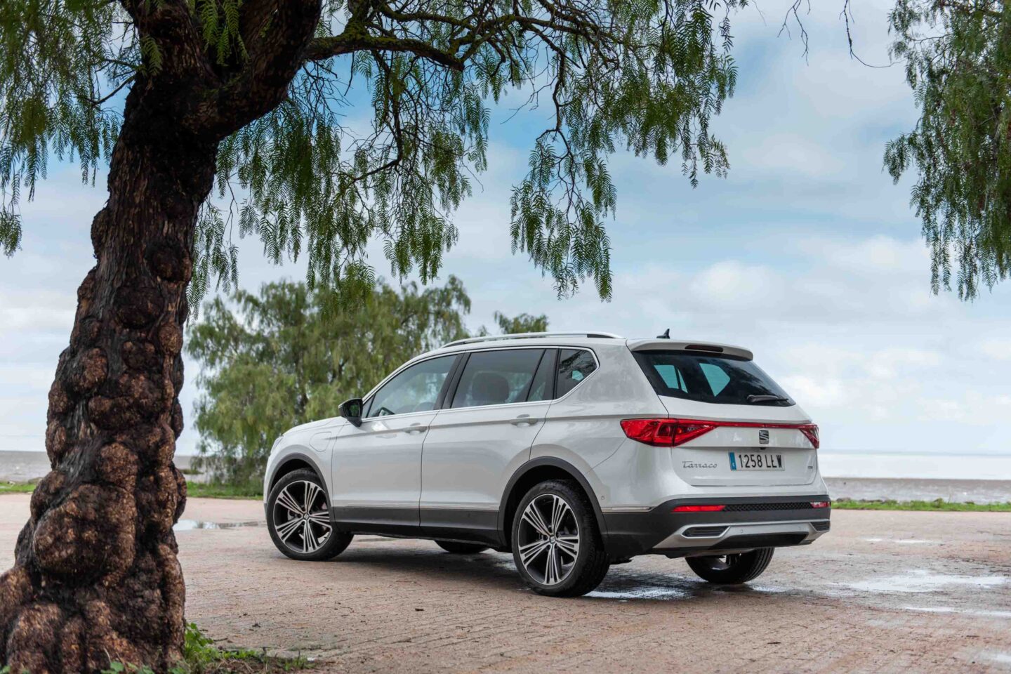 Seat Tarraco E-Hybrid perfil