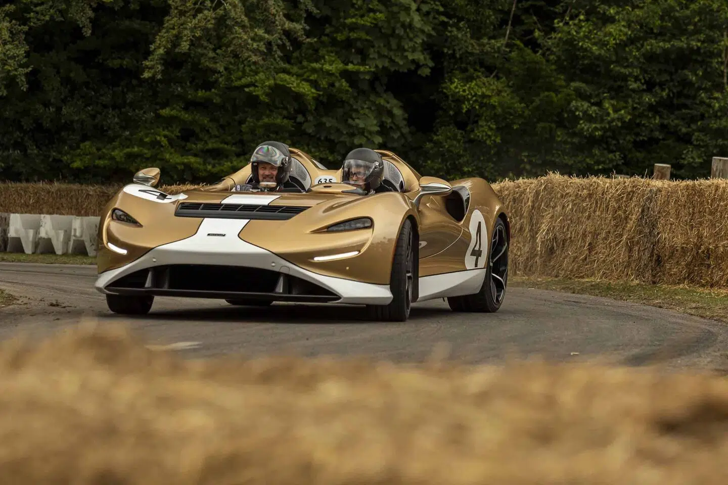 McLaren Elva