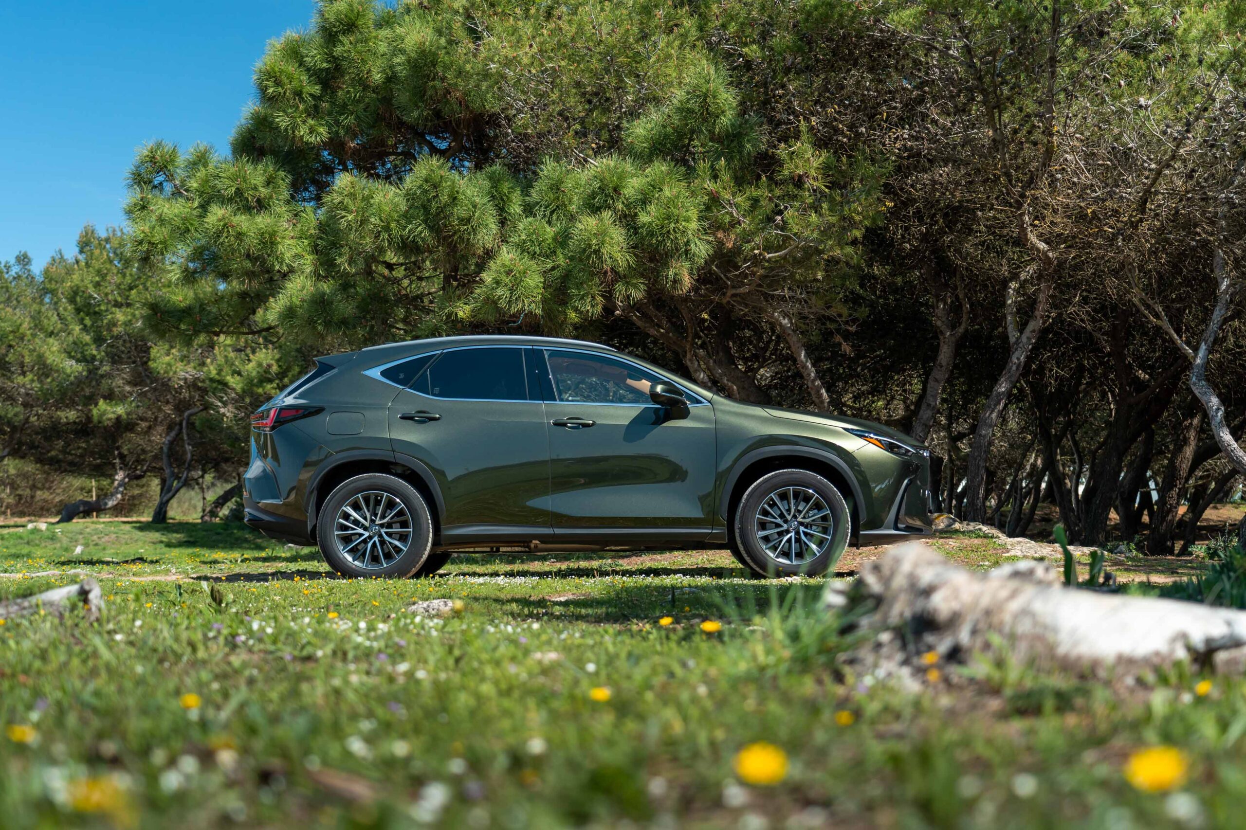 Lexus NX450h+ perfil