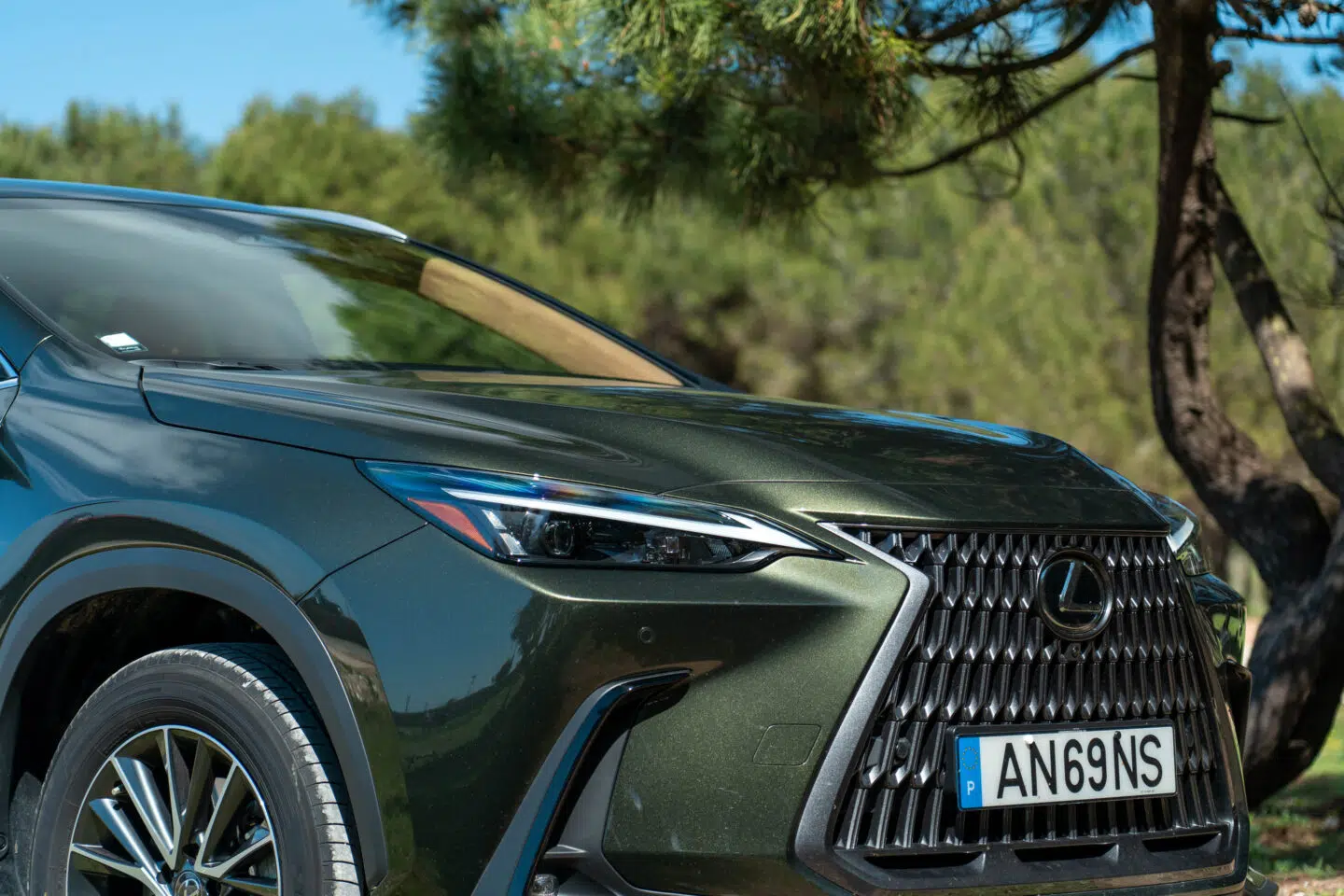 Lexus NX450h+ grelha