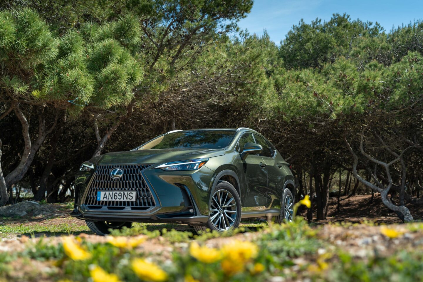 Lexus NX450h+