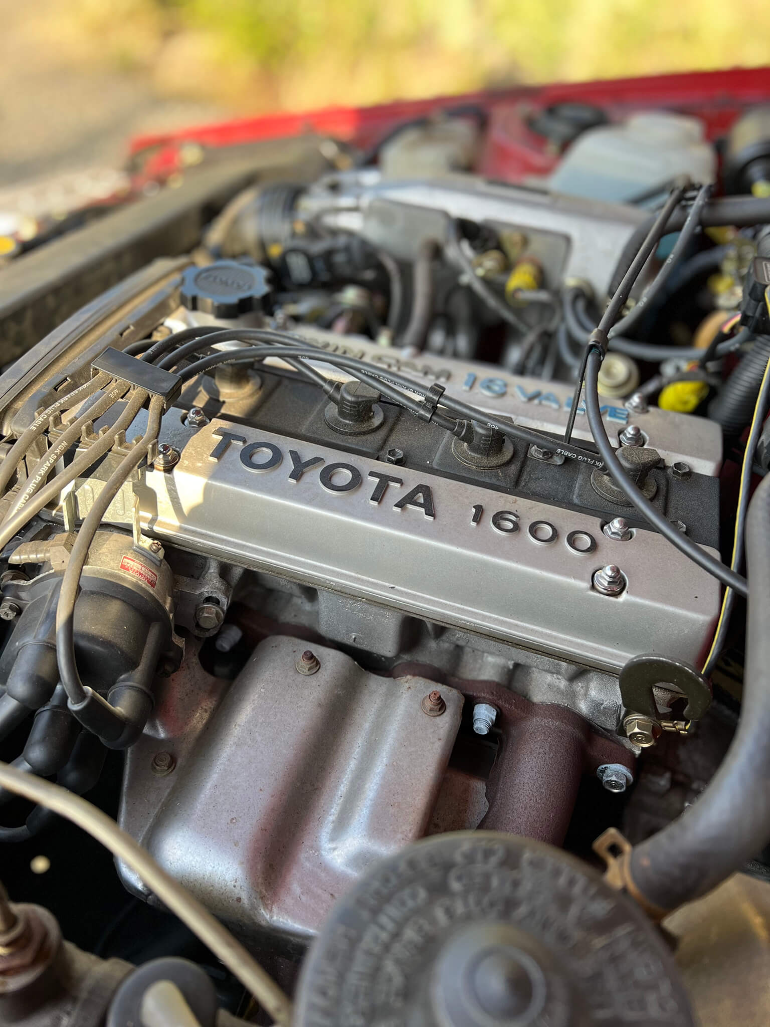 Toyota AE86 GCOTY 2023 - 2