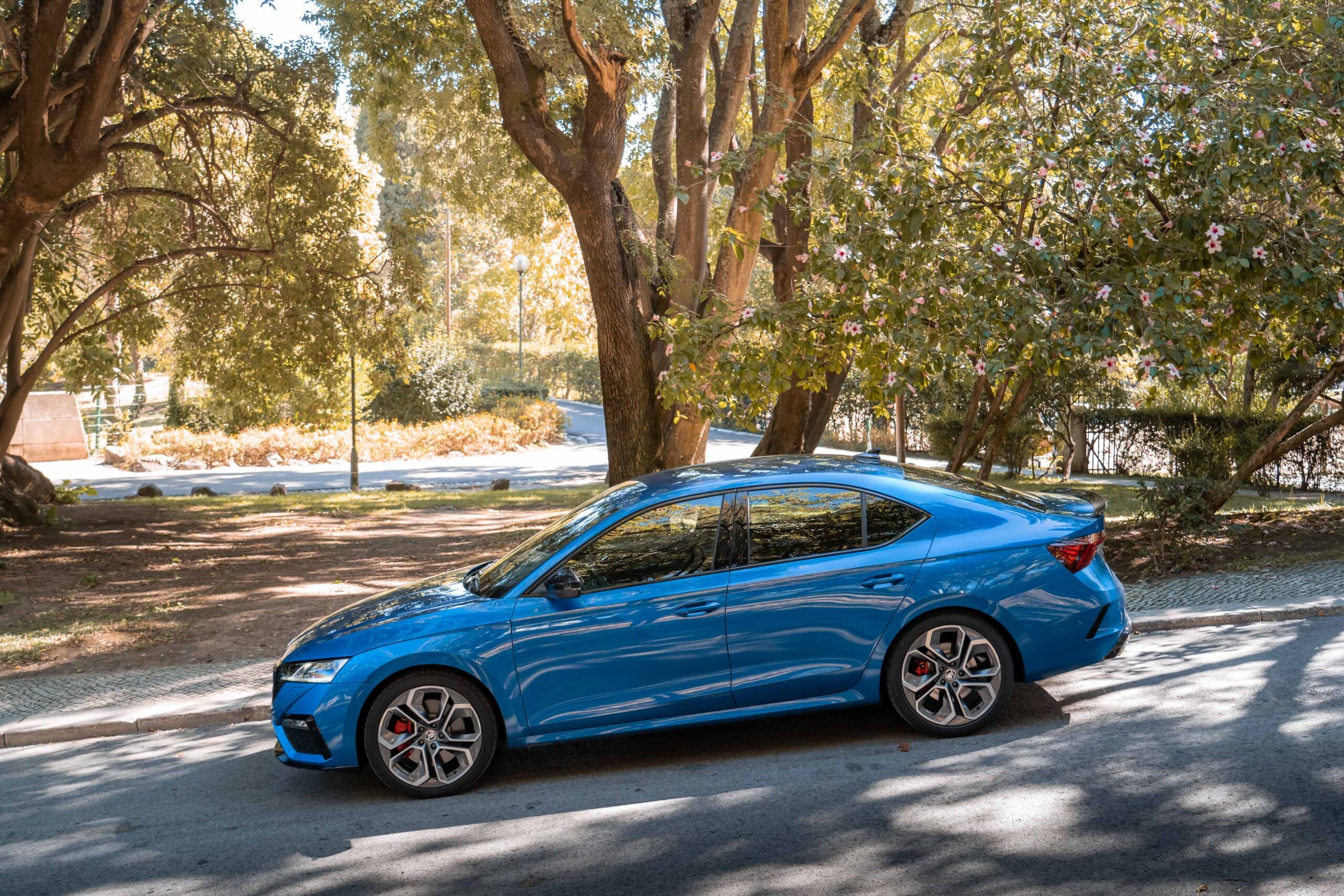 Skoda Octavia RS de perfil