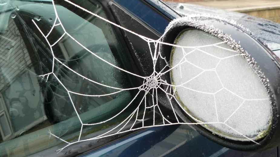 Teia de aranha entre retrovisor e janela