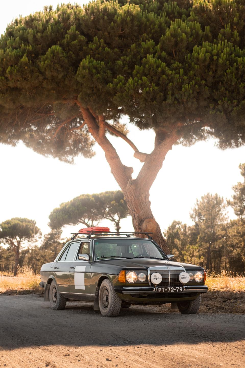 Mercedes-Benz W 123 parado em baixo de árvore