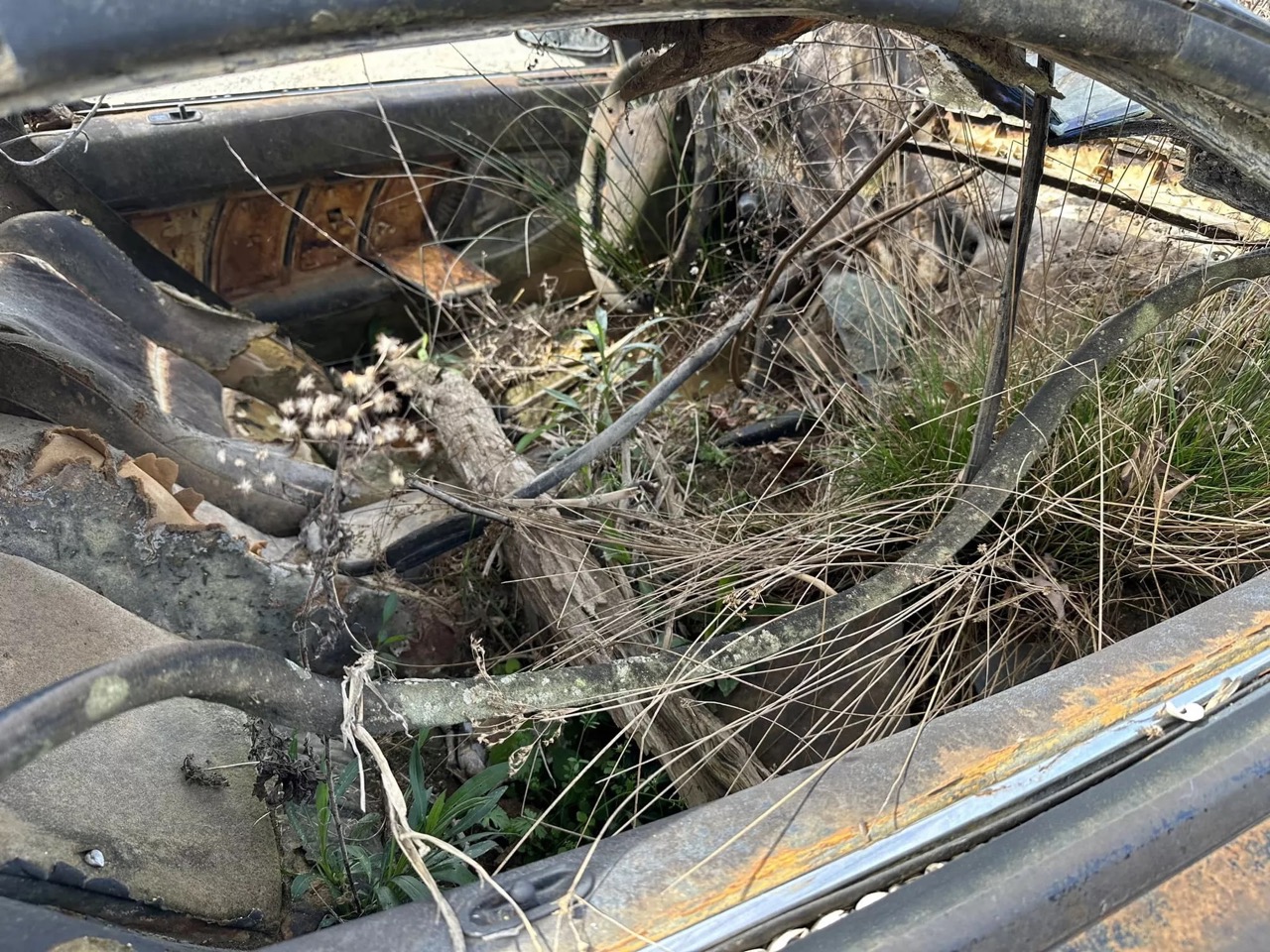 Honda NSX abandonado