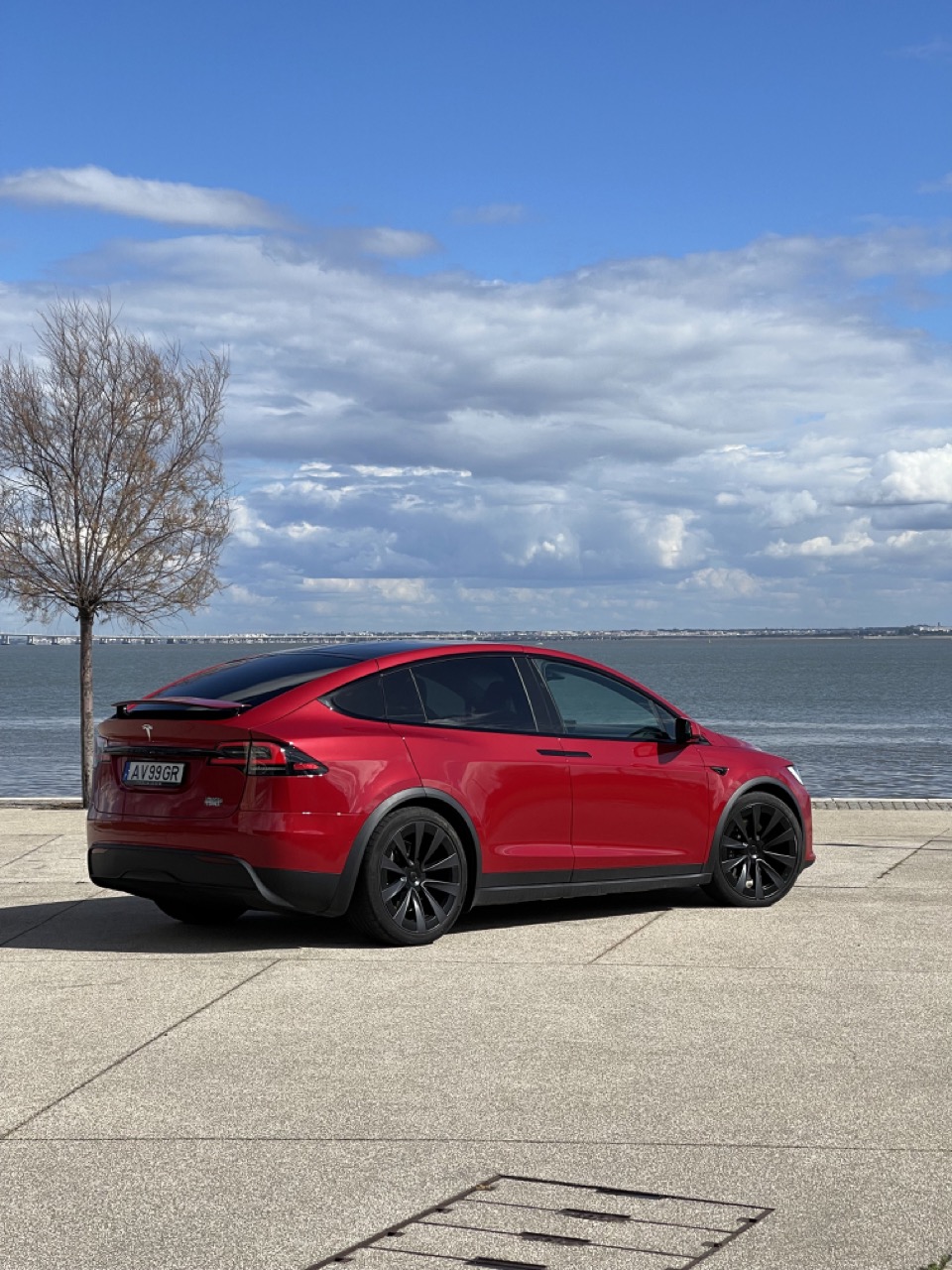 Perfil traseira Tesla Model X Performance