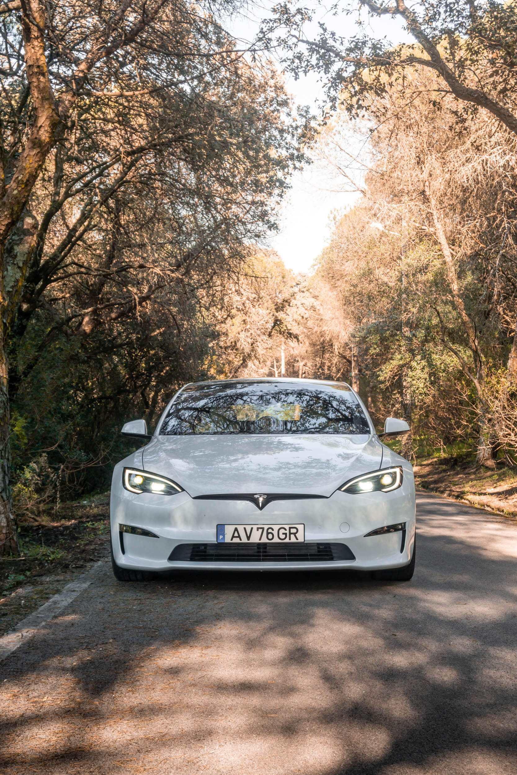 Tesla Model S Plaid frente