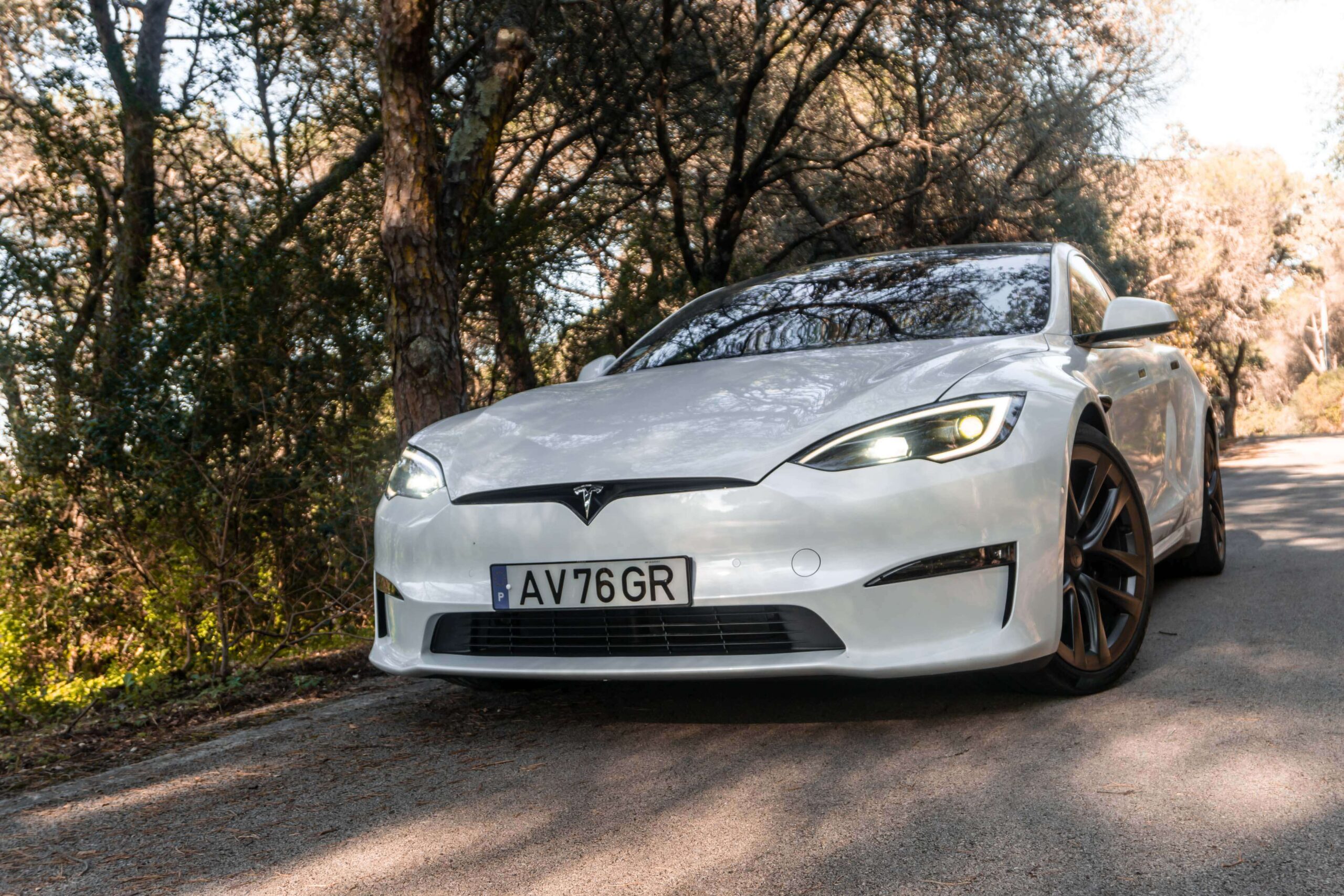 Tesla Model S Plaid frente