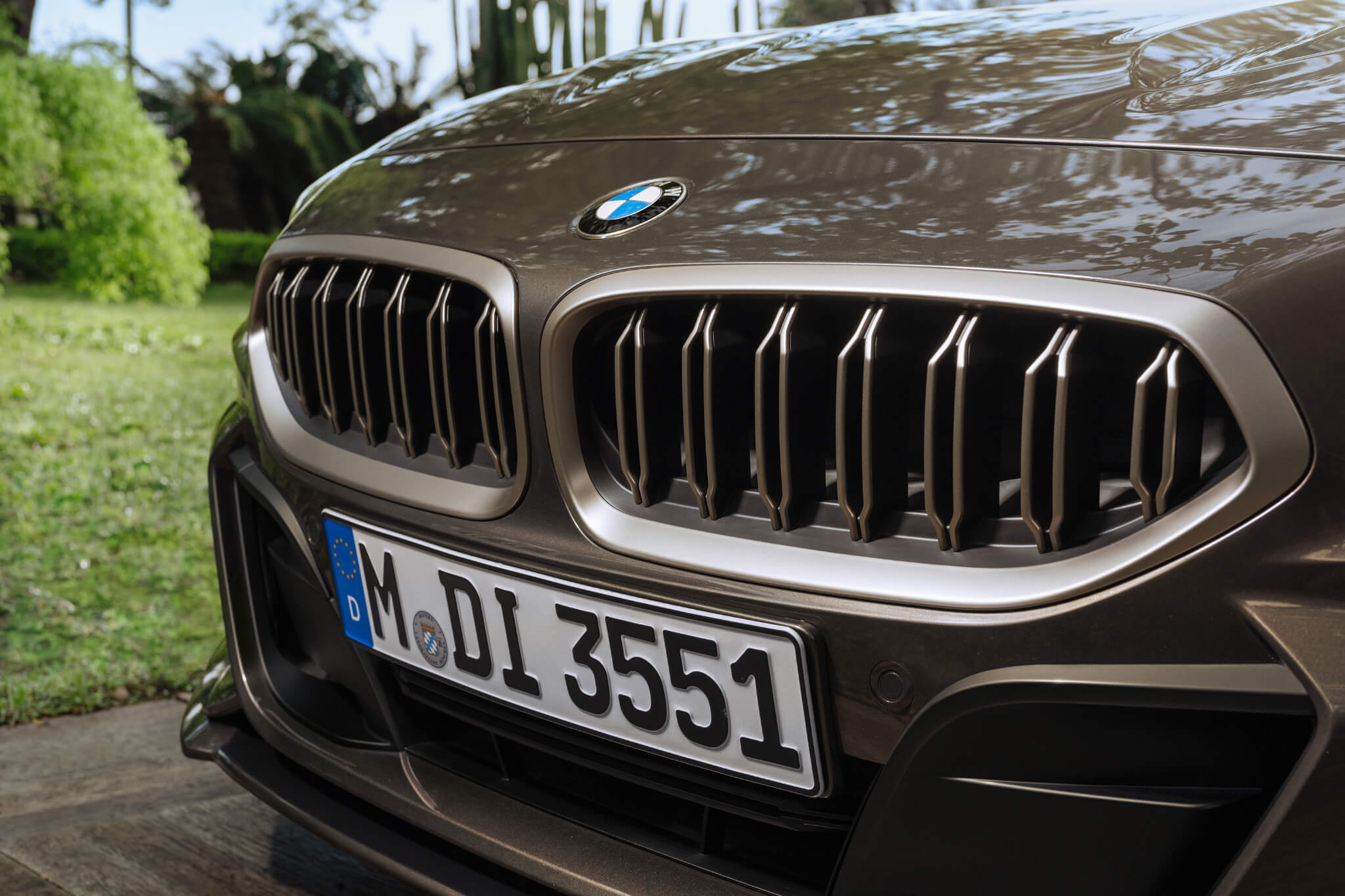 BMW Concept Touring Coupé grelha