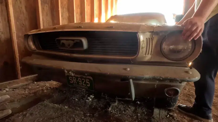Ford Mustang barn find frente