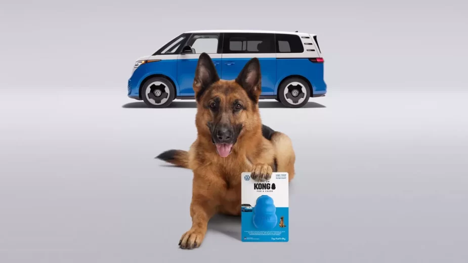 VW Kong com pastor alemão