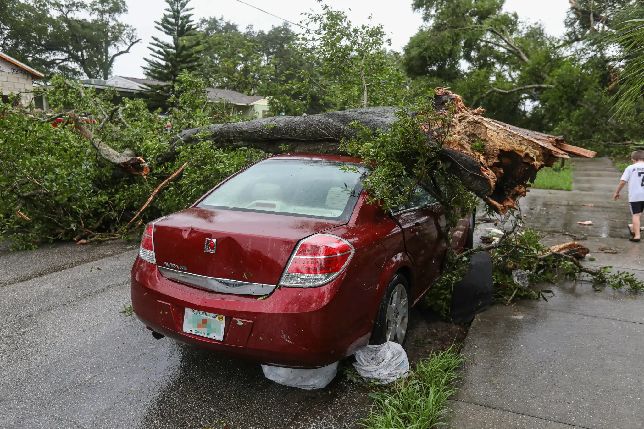 carro arvore tornado