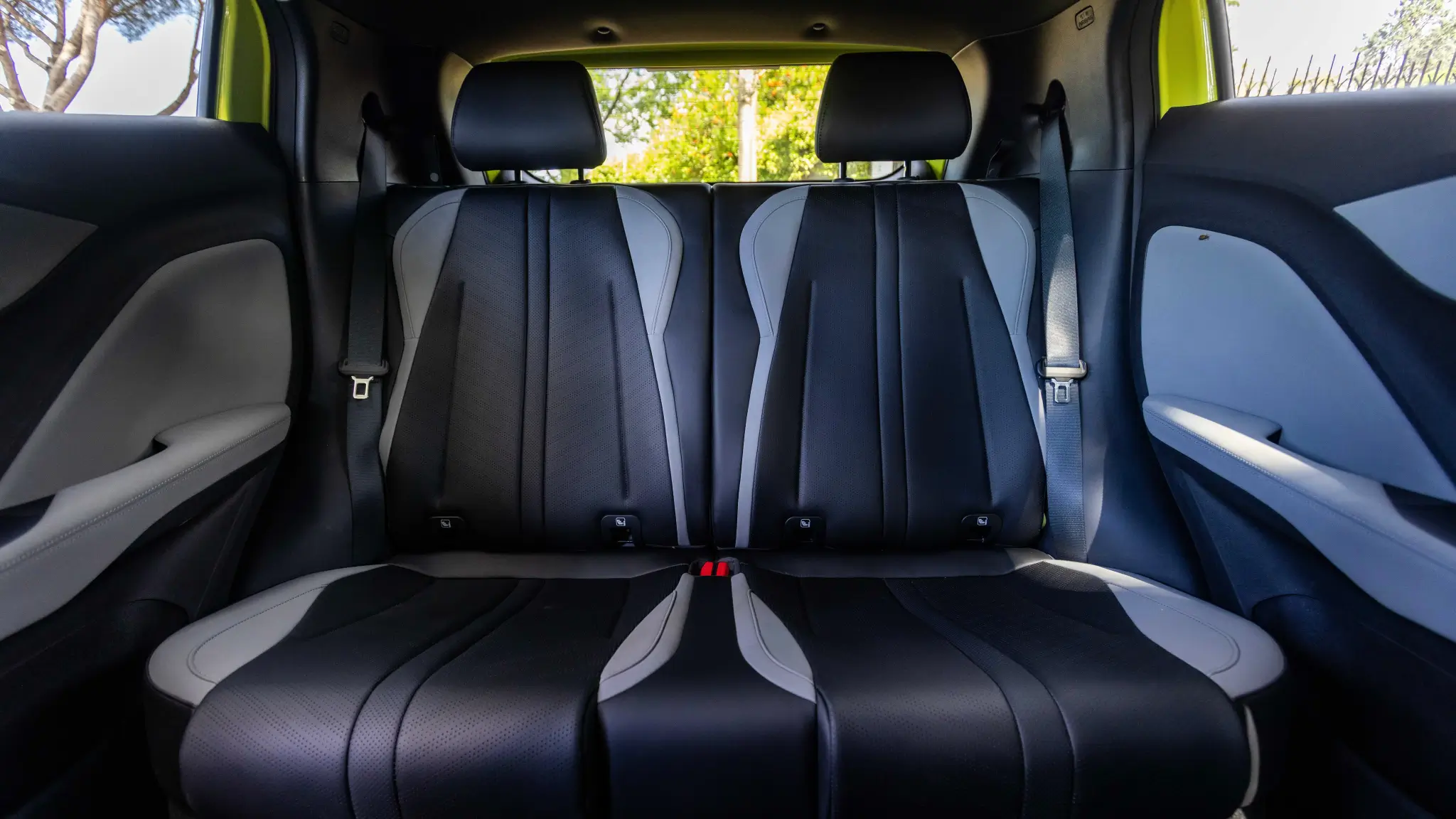 BYD Dolphin Surf